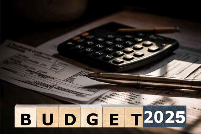 FY25 Budget: What you need to know - Mettis Global Link